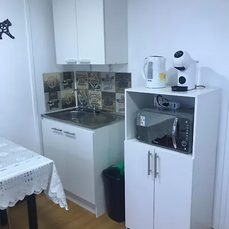 Tinyhouse Con Tinaja Adicional Apartment Lago Ranco Exterior photo